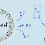 How Big Data Analytics Supports Predictive Modeling and Forecasting